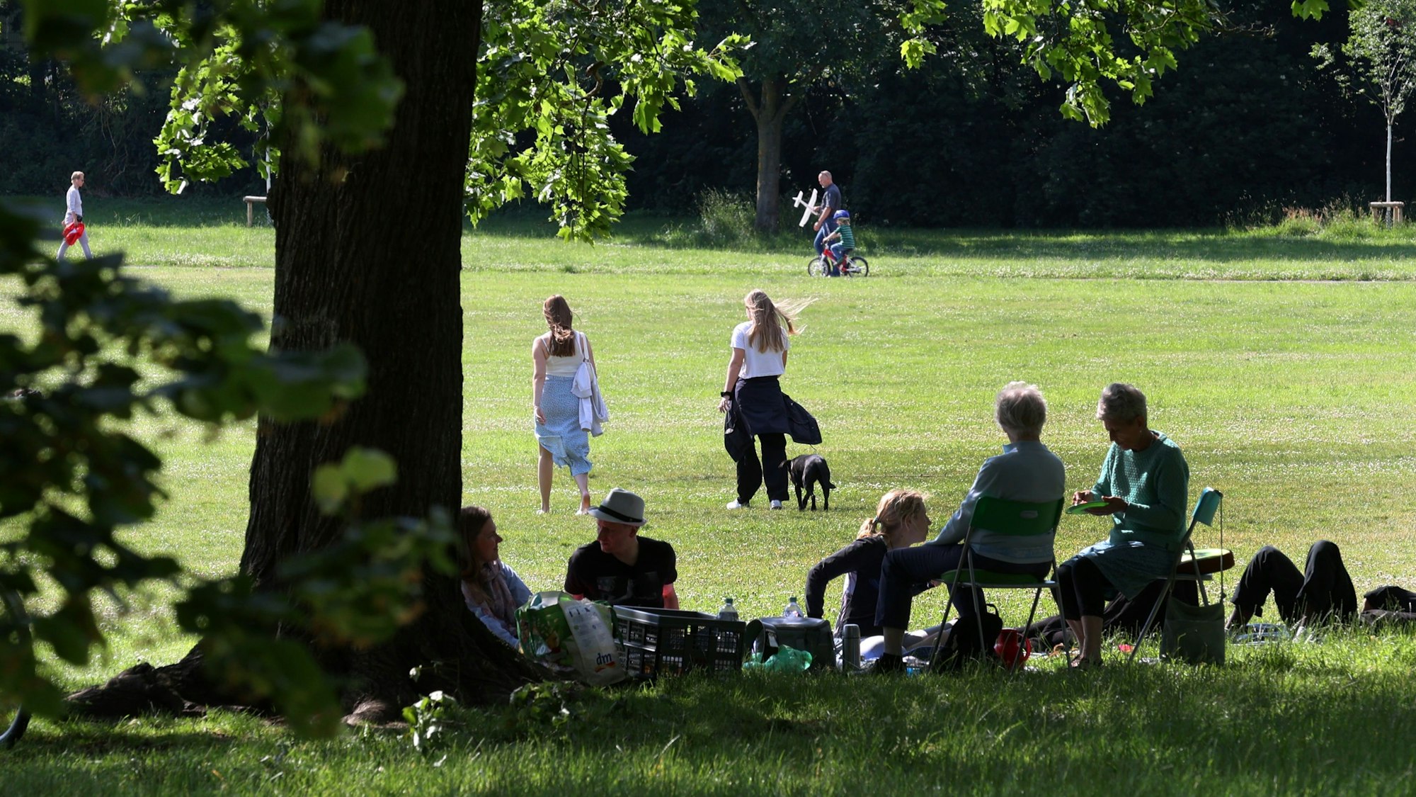 Mehrere Personen sitzen auf der Grünfläche im Beethovenpark in Köln.