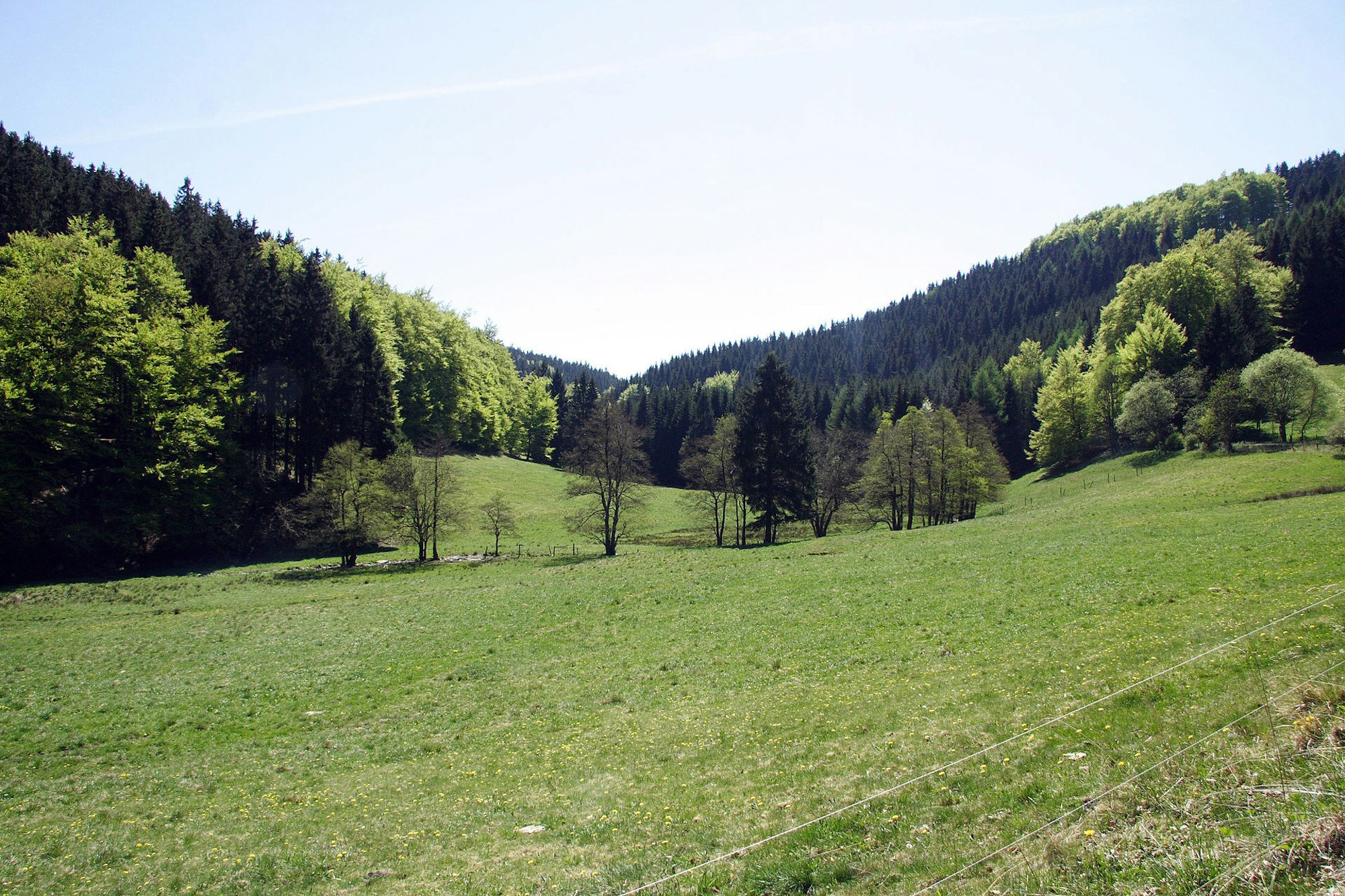 Hoppecketal_Willingen_2