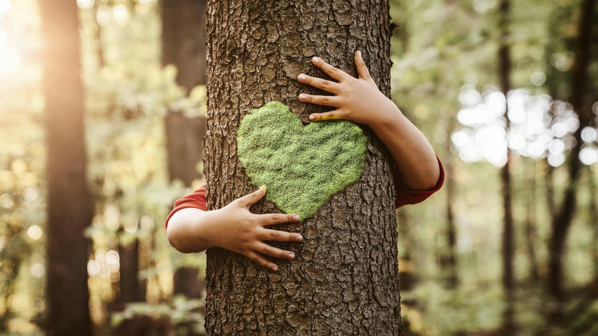 Kinderarme umarmen einen Baum mit einem aufgemalten Herz