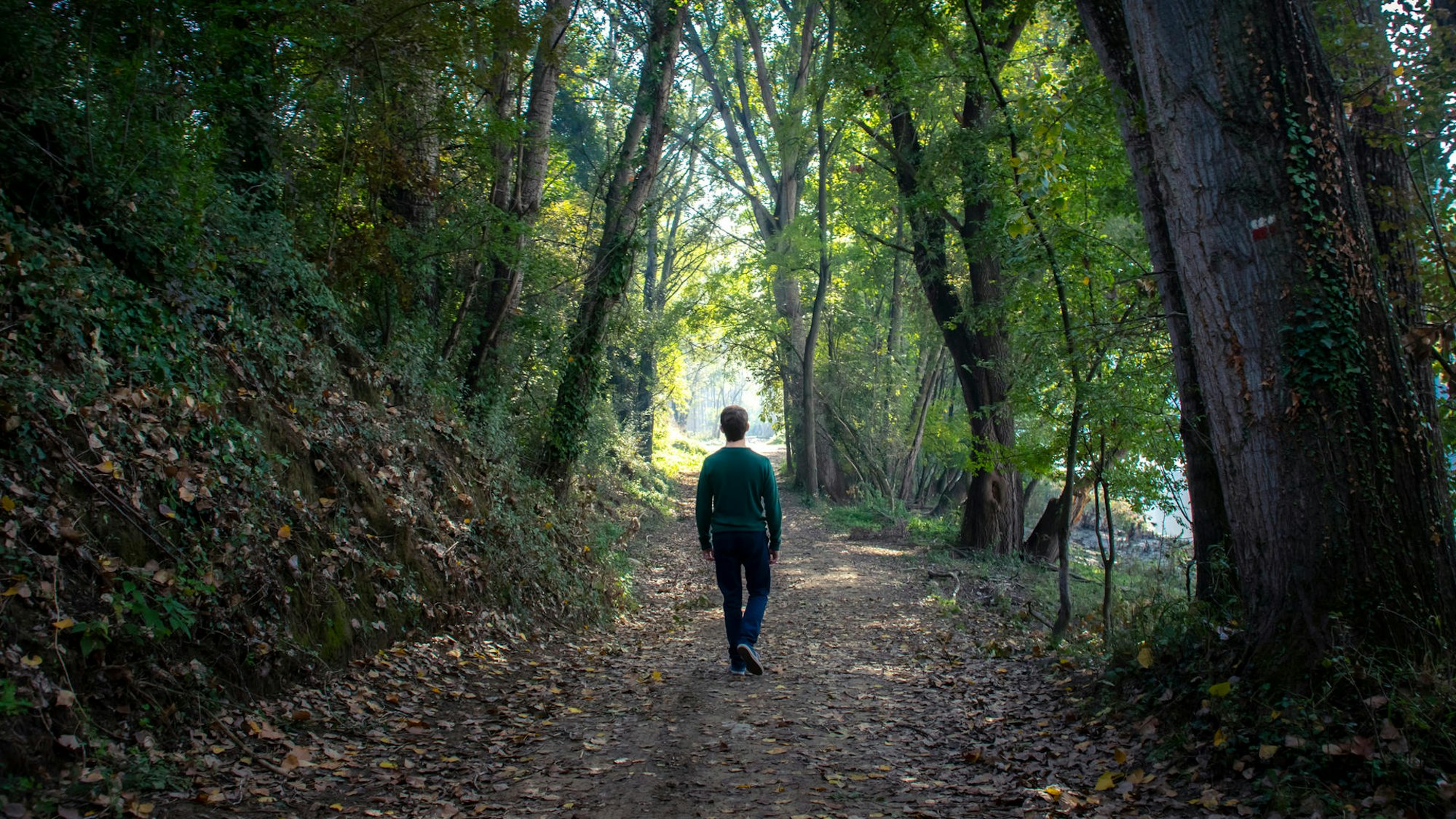 Ein Mann läuft durch einen Wald.