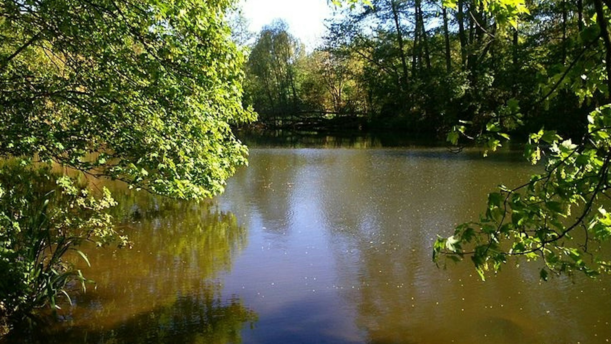 Blick auf einen Bach