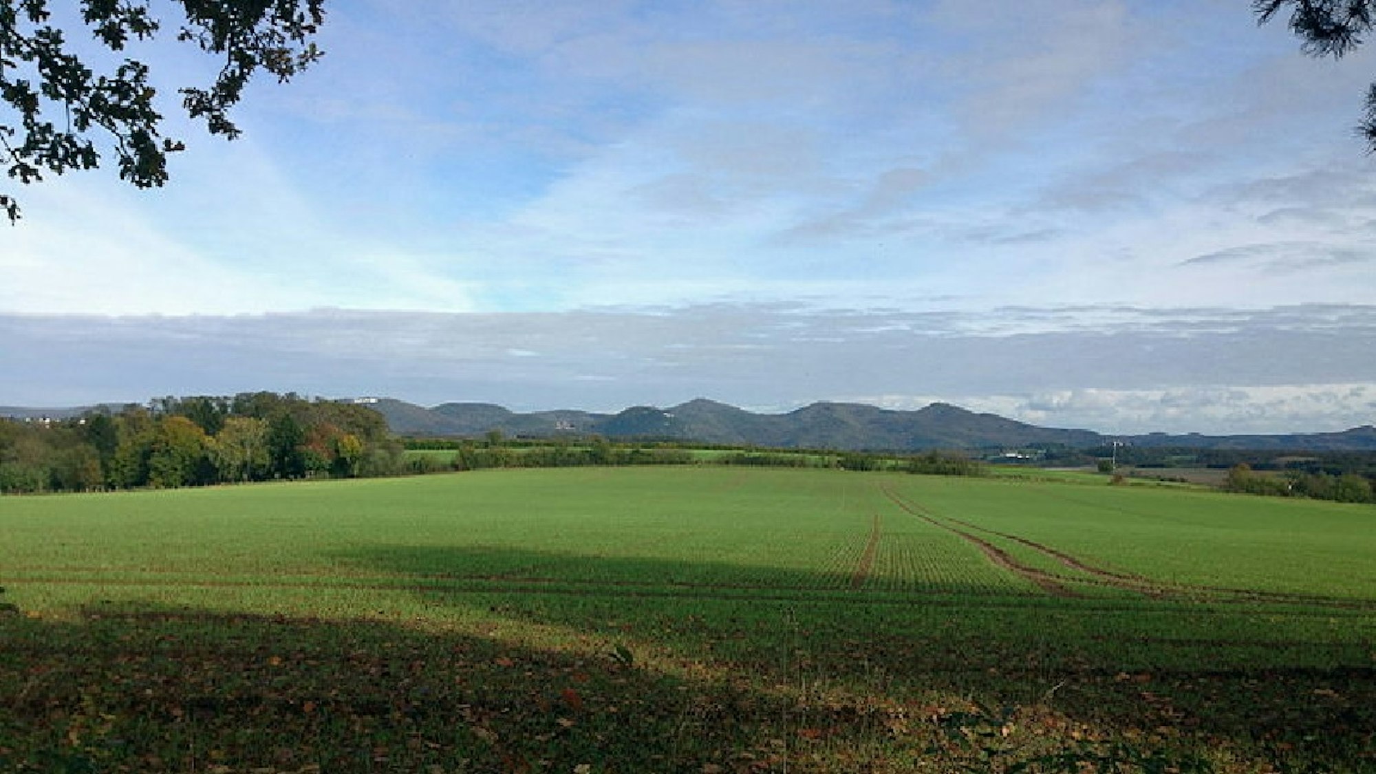 Blick auf ein grünes Feld, Berge im Hintergrund.